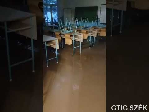 video az iskolarol